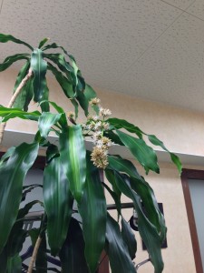 20130205_221502 20130205_221502.jpeg
