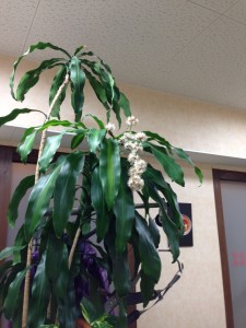 20130207_193422.jpeg