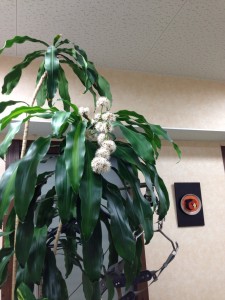 20130209_082228.jpeg