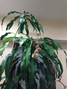 20130213_221935.jpeg