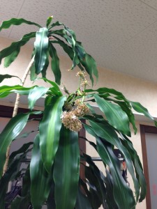 20130218_083443.jpeg