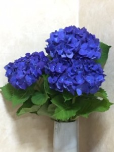 image1.jpeg