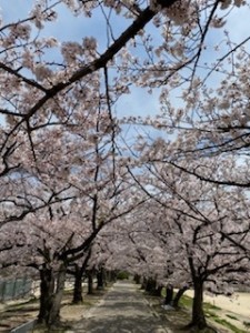image1.jpeg