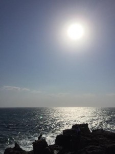 image2.jpeg