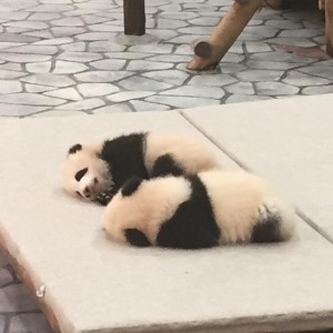 image1_2 image1_2.jpeg